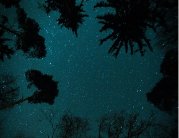 تصویری زیبا از اسمان شب